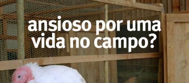 Sara Norte pode vir a participar em 'A quinta' Sara Norte pode vir a participar em 'A quinta'