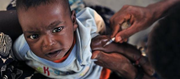 Vacina contra ebola dá resultados positivos Vacina contra ebola dá resultados positivos