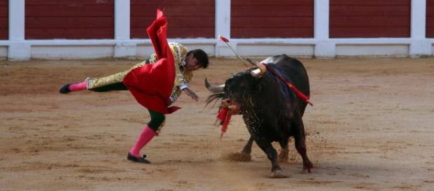 Francisco Rivera durante una corrida Francisco Rivera durante una corrida