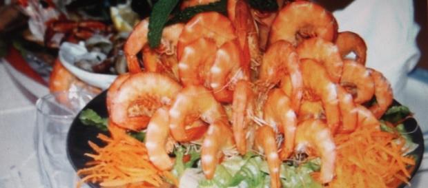 Marisco é o Rei em festival gastronómico no Porto Marisco é o Rei em festival gastronómico no Porto