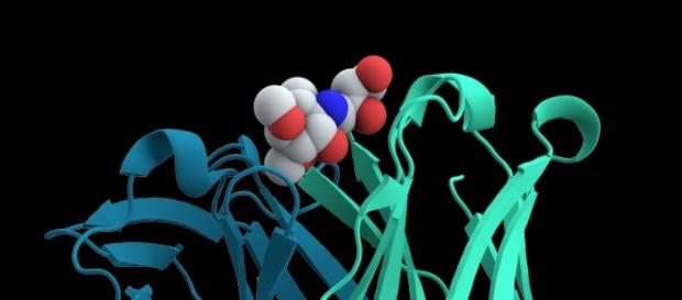 Proteína P-15 capaz de barrar crescimento tumoral Proteína P-15 capaz de barrar crescimento tumoral
