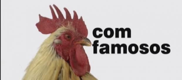 Conheça os famosos que podem estar a caminho Conheça os famosos que podem estar a caminho