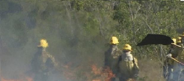 incêndio no parque nacional dos campos amazônicos. incêndio no parque nacional dos campos amazônicos.