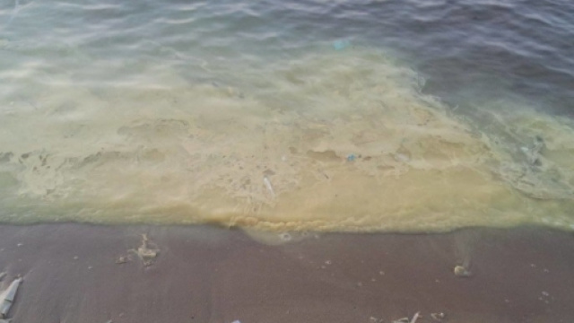 Un mare inquinato da evidente schiuma gialla