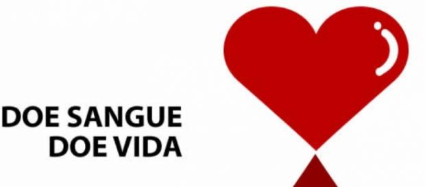 Nosso sangue é igual ao de todo mundo Nosso sangue é igual ao de todo mundo