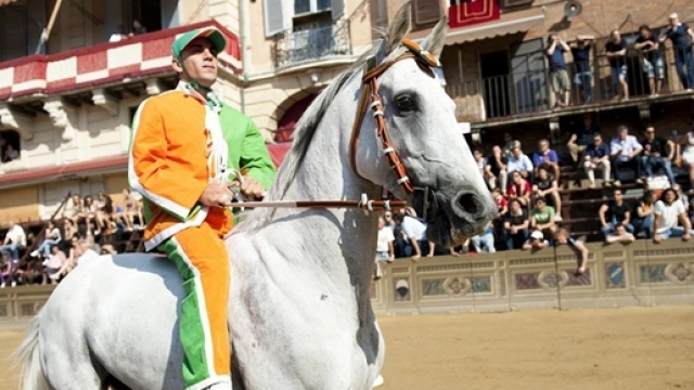 Confermata la protesta animalista di oggi.
