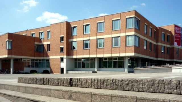 Il Kupferstickabinett, un luogo da cani