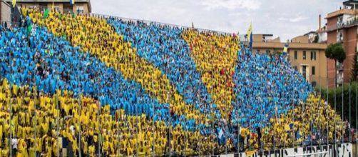 Frosinone-Torino 2015: diretta, formazioni, numeri