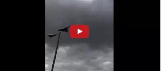 Avvistamento UFO in volo (NewsWorldWide/YouTube) Avvistamento UFO in volo (NewsWorldWide/YouTube)