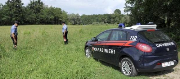 Romanca a fost gasita pe un camp Romanca a fost gasita pe un camp