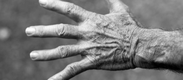 Riforma pensioni, c'è attesa per il piano Boeri Riforma pensioni, c'è attesa per il piano Boeri