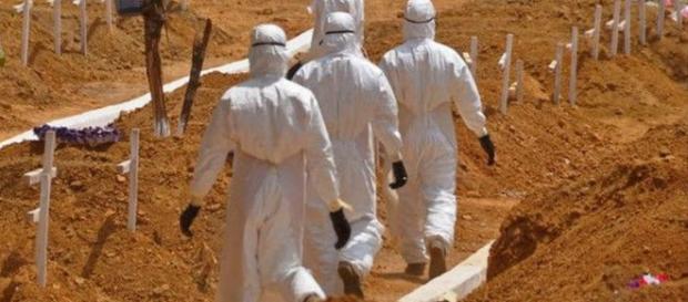 11.000 vittime per Ebola in un solo anno 11.000 vittime per Ebola in un solo anno