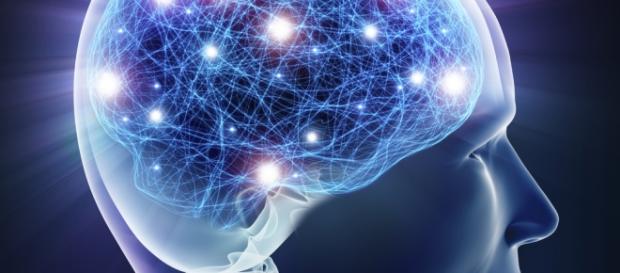 Las conexiones que crean las imágenes mentales Las conexiones que crean las imágenes mentales