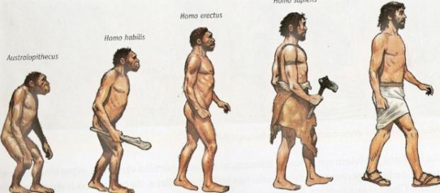 O homem evoluiu e se tornou um superpredador O homem evoluiu e se tornou um superpredador