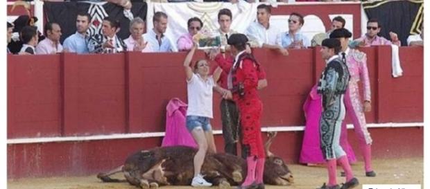 Activista lucha por los derechos del toro Activista lucha por los derechos del toro