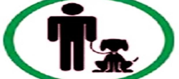 Fido nel carrello della spesa. Fido nel carrello della spesa.