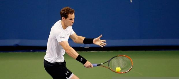 Andy Murray reach the quarter-finals Andy Murray reach the quarter-finals