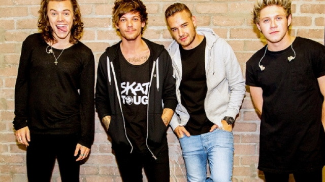 I One direction durante la promozione del disco