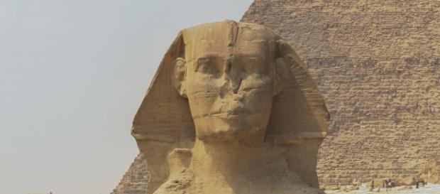 Egipto muy afectado por la gripe aviaria Egipto muy afectado por la gripe aviaria