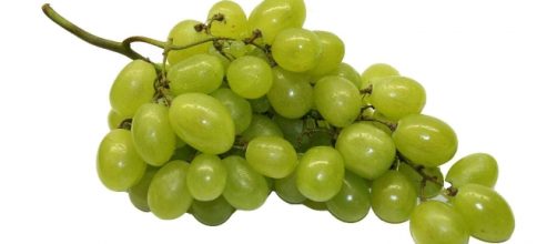 Un grappolo comune di uva bianca