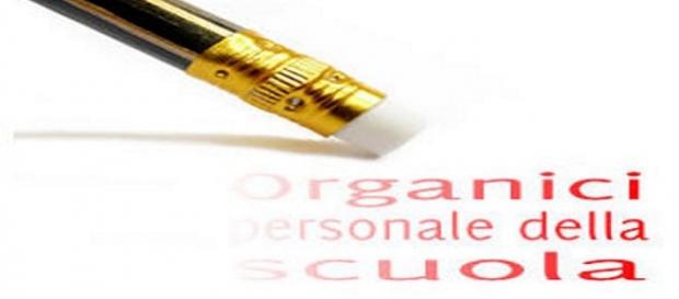La composizione degli organici scolastici La composizione degli organici scolastici