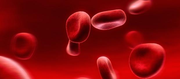 Nano-robôs podem percorrer a corrente sanguínea Nano-robôs podem percorrer a corrente sanguínea