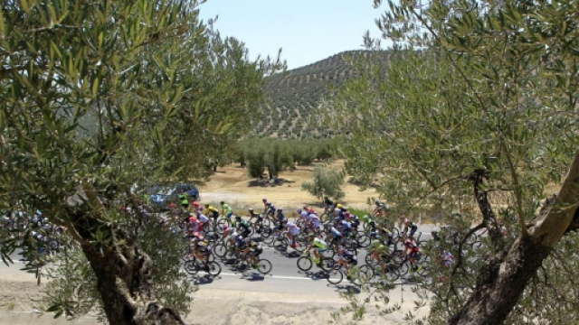 Diretta settima tappa Vuelta a Espana