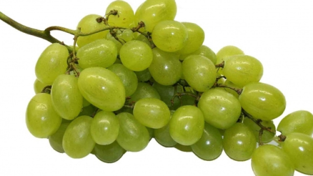 Un grappolo comune di uva bianca
