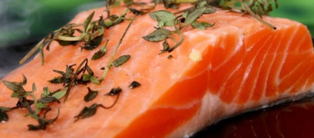 Dieta do peixe, emagreça com saúde Dieta do peixe, emagreça com saúde