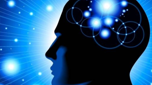 cervello e stupidit&agrave;, il legame