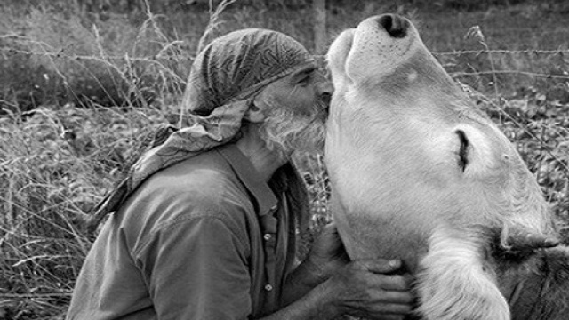 Rendere il mondo migliore? Si può.