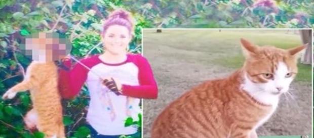 Zdjęcie na profilu weterynarz Kristin Lindsey Zdjęcie na profilu weterynarz Kristin Lindsey
