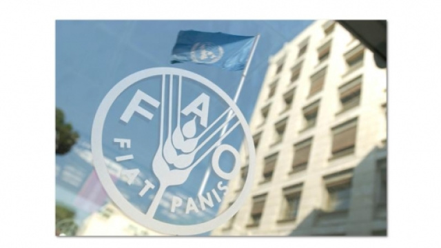 Combattere la fame nel mondo &egrave; segno di civilt&agrave;