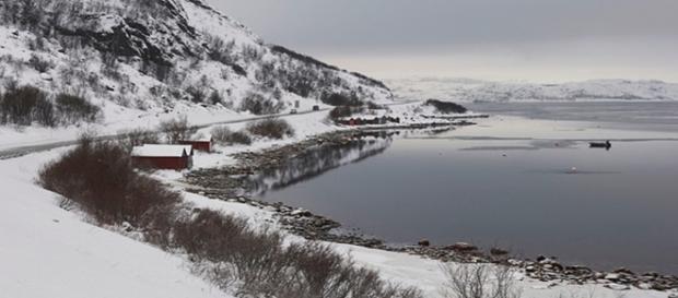 Paesaggio autunnale nei dintorni di Kirkenes Paesaggio autunnale nei dintorni di Kirkenes