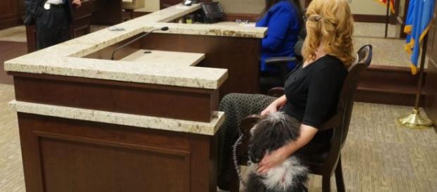 Perro dando apoyo durante un juicio penal Perro dando apoyo durante un juicio penal