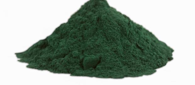 Spirulina, alga bogata w białko Spirulina, alga bogata w białko