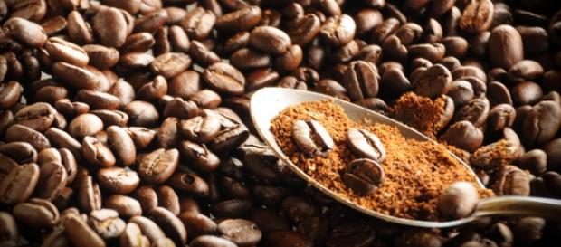 O café. Imagem: download do pixabay. O café. Imagem: download do pixabay.