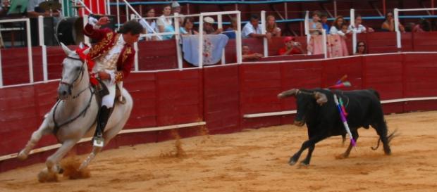 Tourada em Amarante gera polémica Tourada em Amarante gera polémica