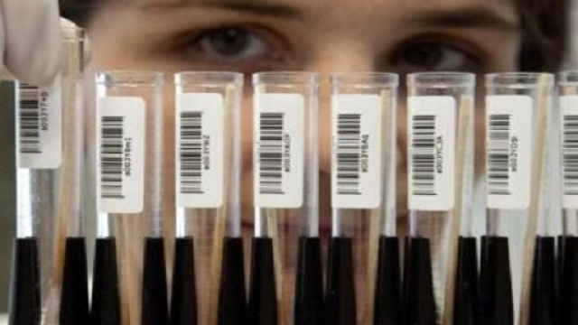 Eccezionale scoperta scientifica a Londra