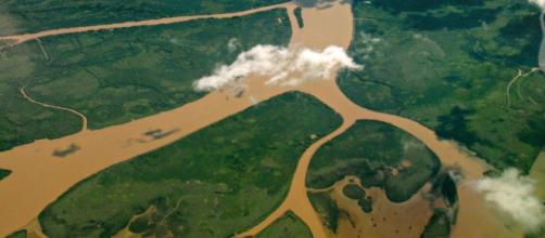Vista aérea del Delta del Paraná por Martin Terber