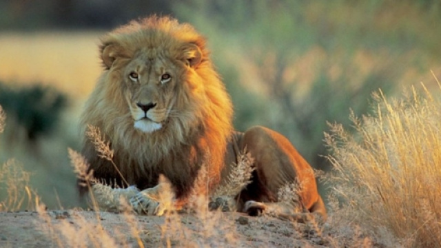 Sabrina Cogartelli cacciatrice italiana
