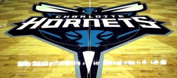 Hornets logo and beehive floor design is terrific Hornets logo and beehive floor design is terrific