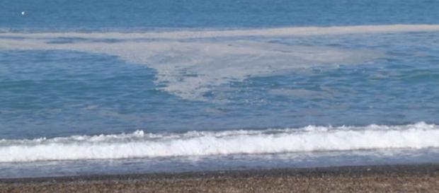 Mare inquinato a Paola, concluse le indagini. Mare inquinato a Paola, concluse le indagini.