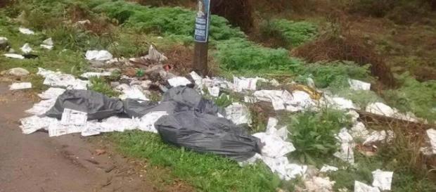 Boletas tiradas en un descampado Boletas tiradas en un descampado