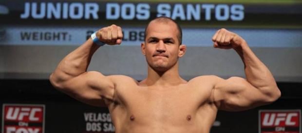 Cigano quer conquistar outra vez o cinturão do UFC Cigano quer conquistar outra vez o cinturão do UFC