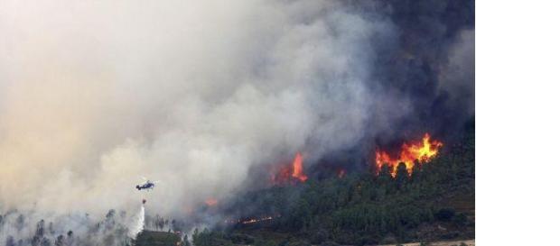 incendio forestal declarado en Acebo. incendio forestal declarado en Acebo.