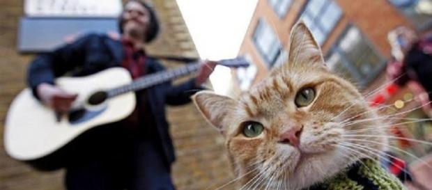 James tocando en plena calle con Bob. James tocando en plena calle con Bob.