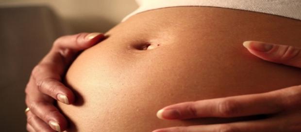 Vientres de gestación subrogada Vientres de gestación subrogada