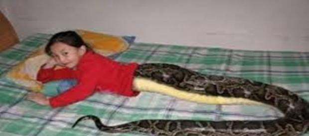Imaginea a făcut furori în toată lumea Imaginea a făcut furori în toată lumea