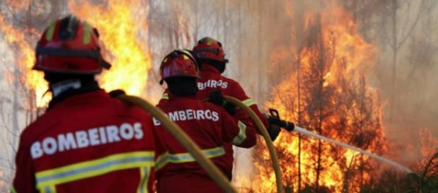 Bombeiros portugueses estão em Espanha. Bombeiros portugueses estão em Espanha.